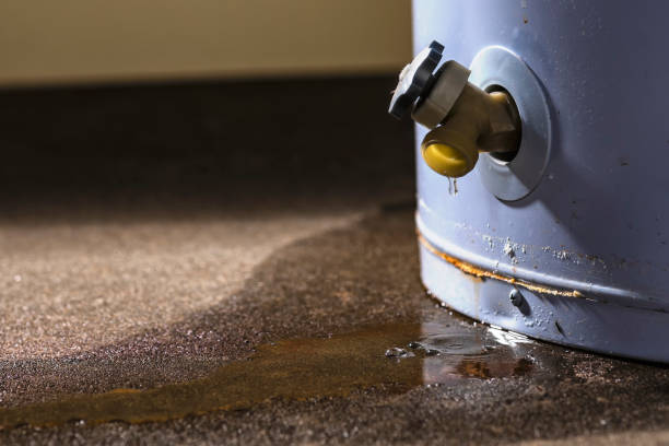 Best 24-hour water damage restoration  in Cinco Ranch, TX