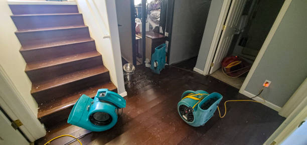 Best Water damage cleanup near me  in Cinco Ranch, TX
