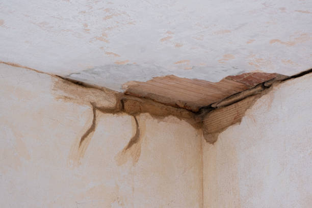 Best Flood restoration services  in Cinco Ranch, TX