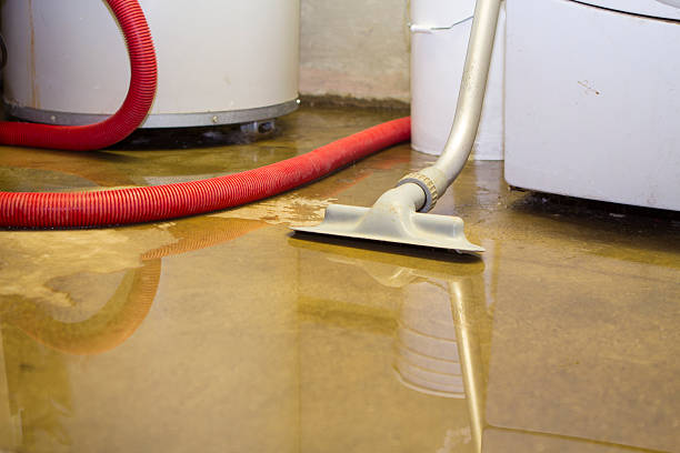 Best Local water damage restoration  in Cinco Ranch, TX