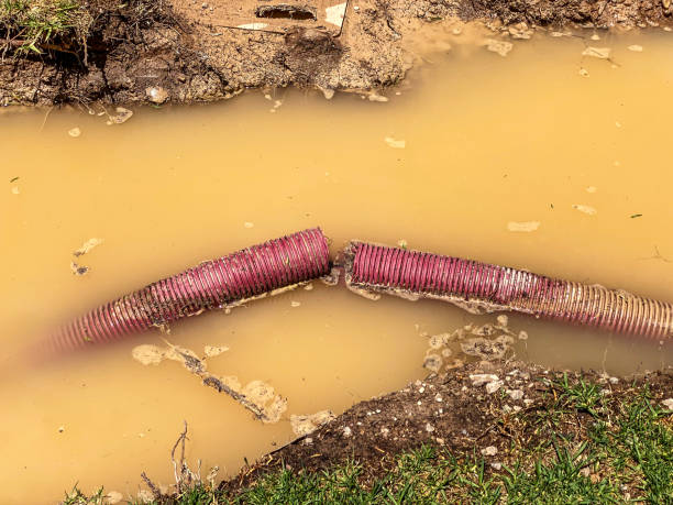 Best Water damage restoration insurance claims  in Cinco Ranch, TX