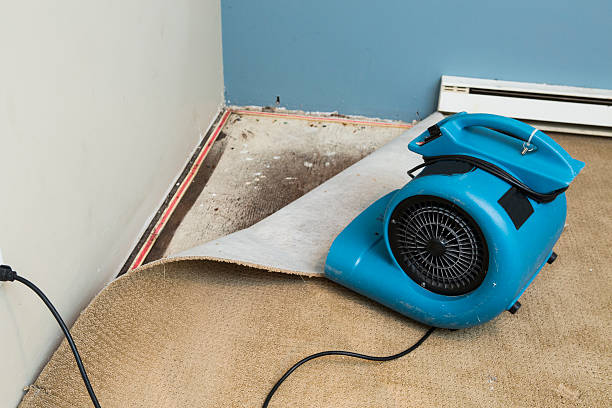 Best Flood restoration services  in Cinco Ranch, TX